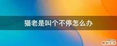 猫老是叫个不停怎么办