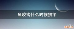 鱼咬钩什么时候提竿