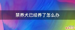 禁养犬已经养了怎么办