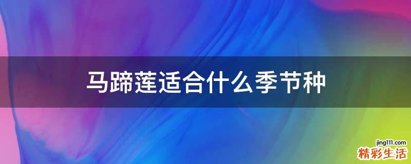 马蹄莲适合什么季节种