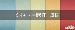 9寸+1寸=1尺打一成语