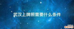 武汉上牌照需要什么条件