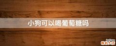 小狗可以喝葡萄糖吗