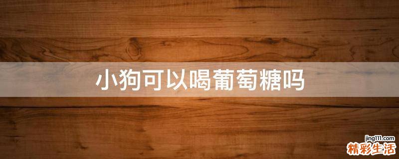 小狗可以喝葡萄糖吗