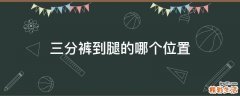 三分裤到腿的哪个位置