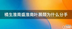 橘生淮南盛淮南叶展颜为什么分手