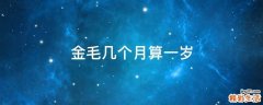 金毛几个月算一岁