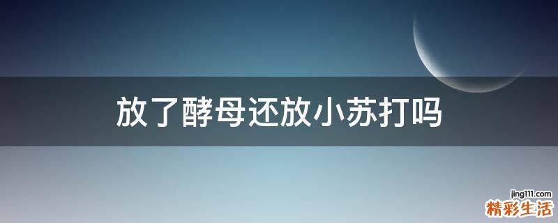放了酵母还放小苏打吗