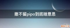 撒不留pipo到底啥意思