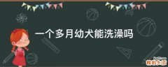 一个多月幼犬能洗澡吗