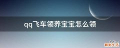 qq飞车领养宝宝怎么领