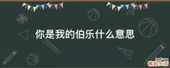 你是我的伯乐什么意思