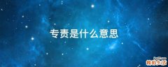 专责是什么意思