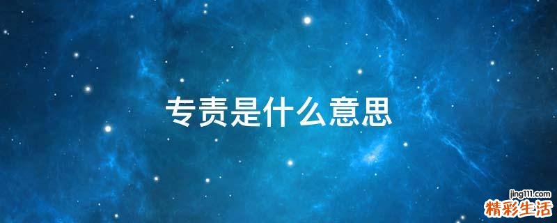 专责是什么意思