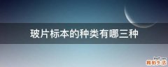 玻片标本的种类有哪三种