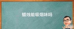 蜡烛能吸烟味吗