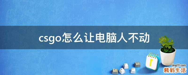 csgo怎么让电脑人不动