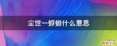 尘世一蜉蝣什么意思