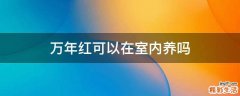万年红可以在室内养吗