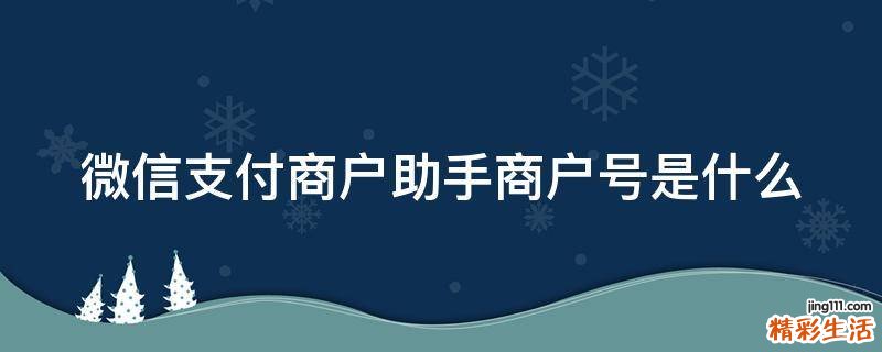 微信支付商户助手商户号是什么