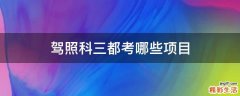 驾照科三都考哪些项目