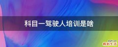 科目一驾驶人培训是啥