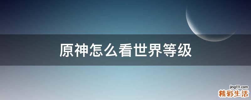 原神怎么看世界等级