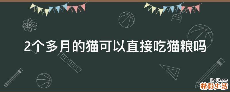 2个多月的猫可以直接吃猫粮吗