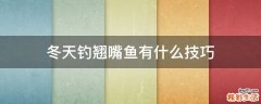 冬天钓翘嘴鱼有什么技巧