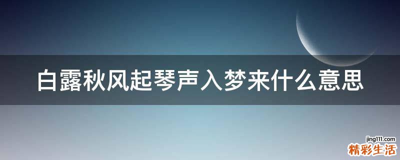 白露秋风起琴声入梦来什么意思