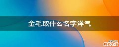 金毛取什么名字洋气