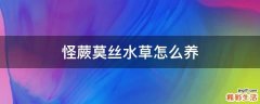 怪蕨莫丝水草怎么养
