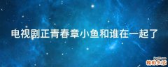 电视剧正青春章小鱼和谁在一起了