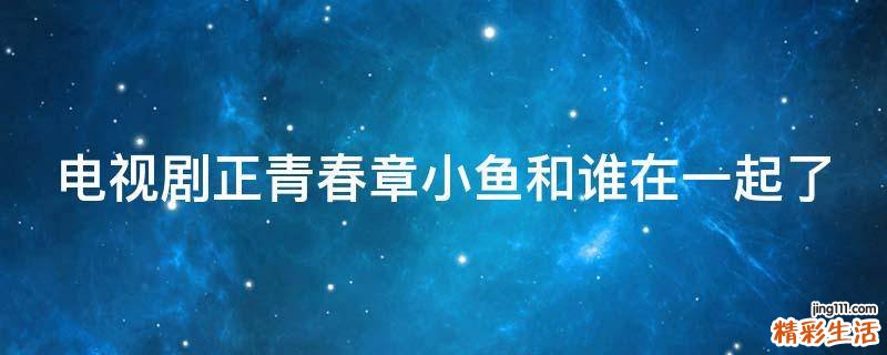 电视剧正青春章小鱼和谁在一起了