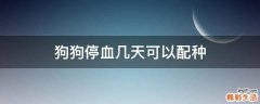 狗狗停血几天可以配种