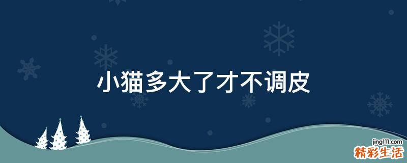 小猫多大了才不调皮