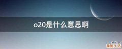 o20是什么意思啊