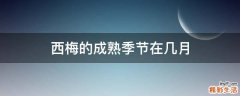 西梅的成熟季节在几月
