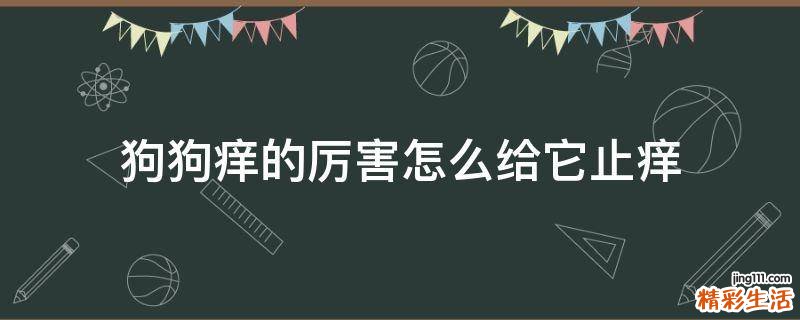 狗狗痒的厉害怎么给它止痒