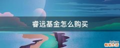 睿远基金怎么购买