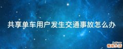 共享单车用户发生交通事故怎么办