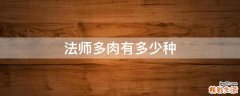 法师多肉有多少种