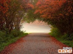 浸足疗法