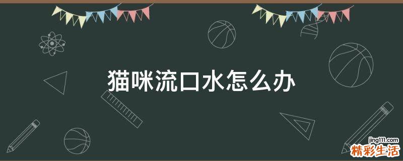 猫咪流口水怎么办