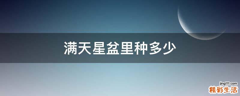 满天星盆里种多少