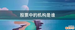股票中的机构是谁