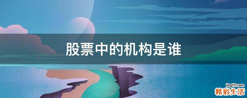 股票中的机构是谁