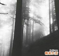 足疗从脚到头的健康线