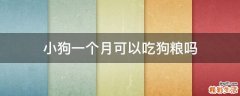 小狗一个月可以吃狗粮吗
