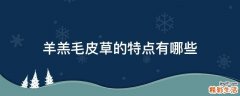 羊羔毛皮草的特点有哪些